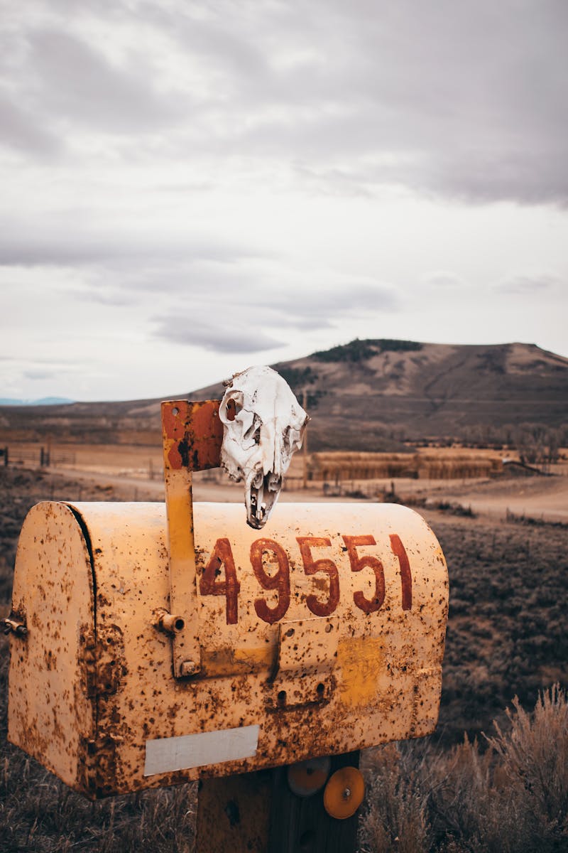 Rusty mailbox with animal skull in a desolate rural landscape under cloudy skies.